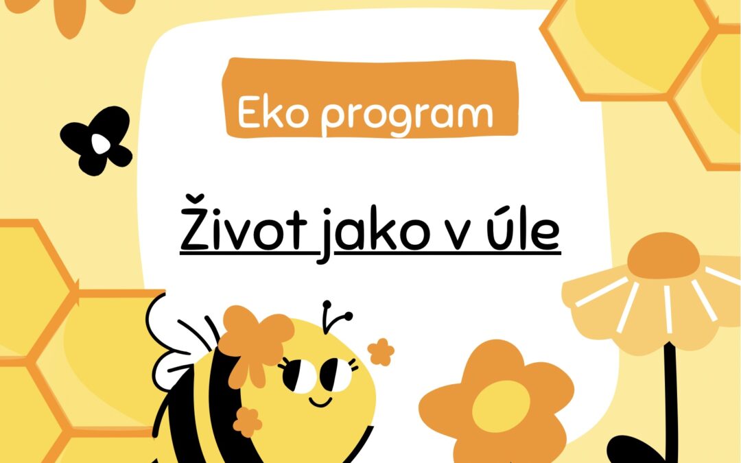 DELFÍNCI a ŽABIČKY – Ekoprogram